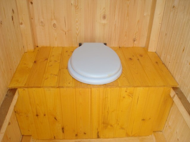 Toilet at the dacha with a factory or self-made toilet: a look at possible options and self-installation