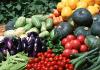 Декілька слів про вирощування овочів у відкритому грунті Полив та укриття