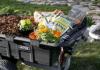 Zahradní vozík pro kutily: foto, návod Vlastní zahradní vozíky na zahradu